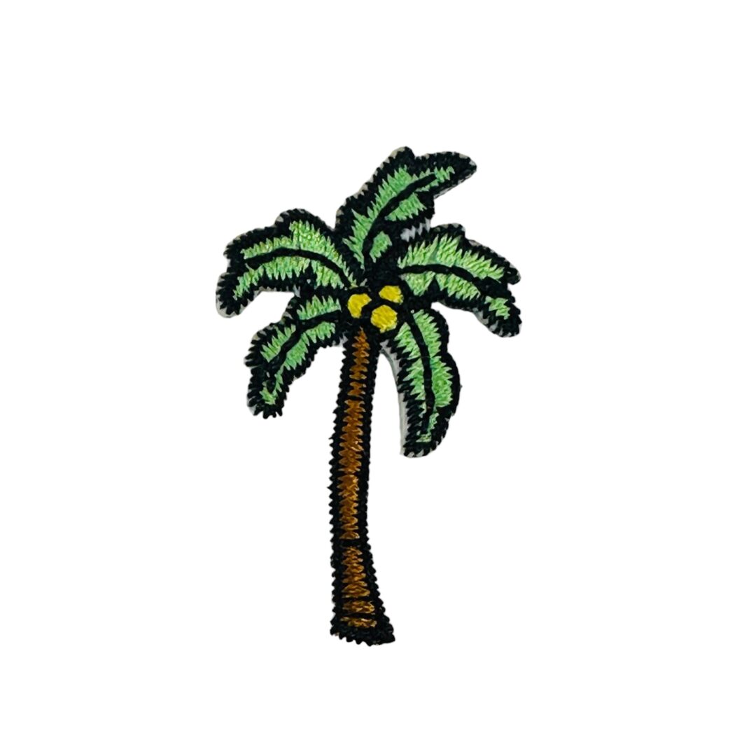 Palm Tree